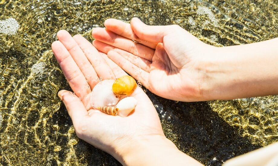 “日本の渚百選”の砂浜で見る美しい自然現象